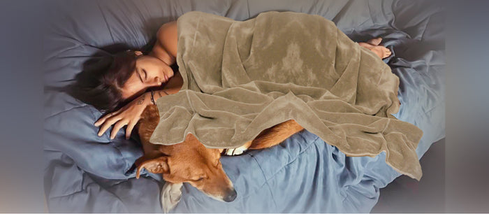 Why Women Sleep Better Next to Dogs