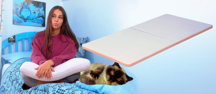 Will Your Cat Judge you for having a Bunkie Board?